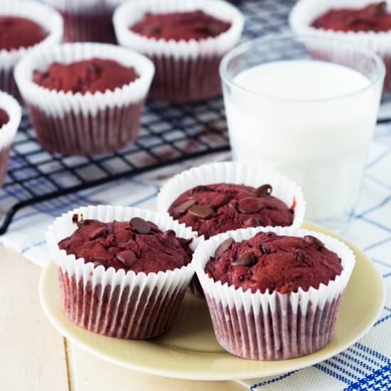 Chocolate Beet Muffins