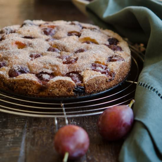 Plum Cake