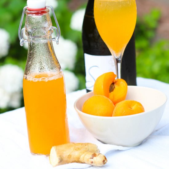 Apricot Ginger Bellinis