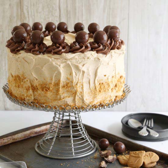 Malted Nutella Biscoff Torte