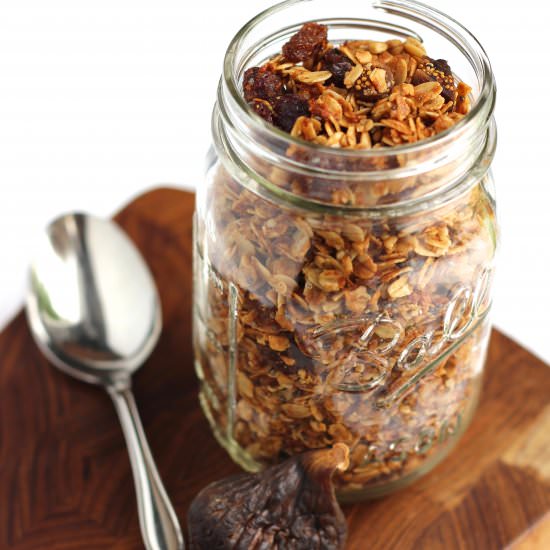 Cranberry Fig Granola