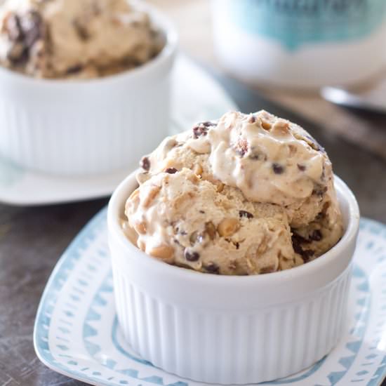 Peanut Butter Chocolate Ice Cream