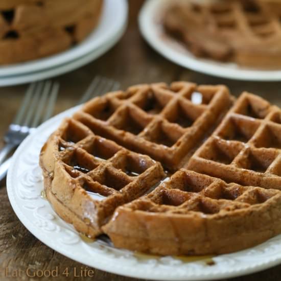 Chocolate Whole Wheat Waffles