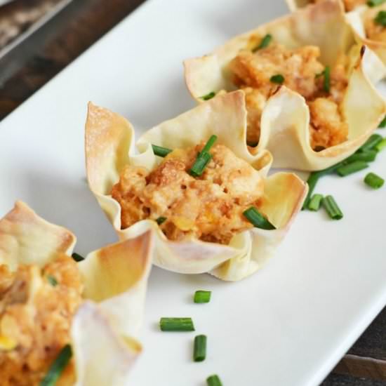 Barbecue Chicken Baked Wontons