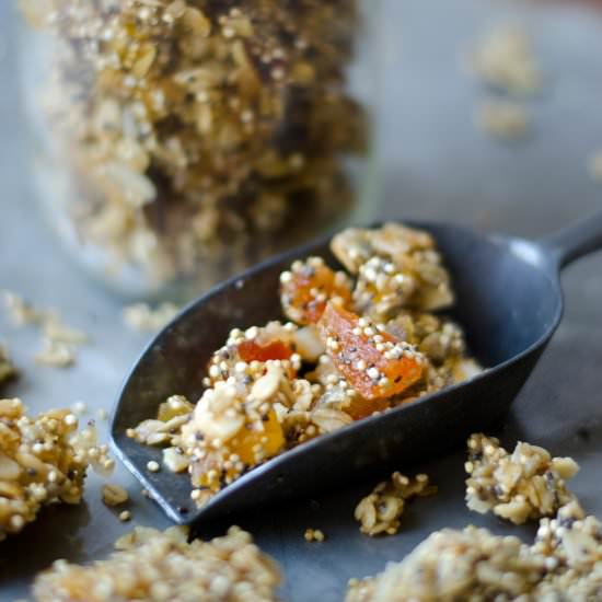 Tropical Quinoa Granola