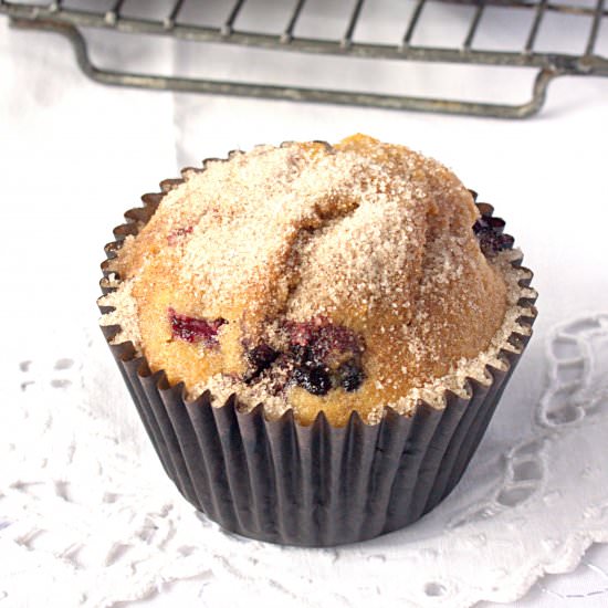 Whole Wheat Blueberry Muffins