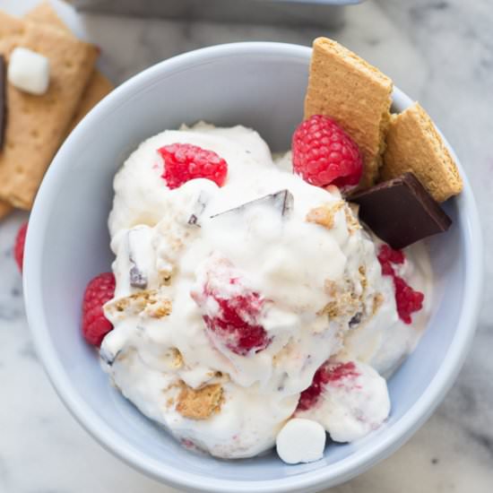 Dark Chocolate Raspberry S’more Ice