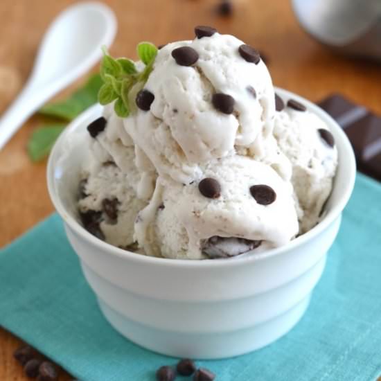 Mint Chip Coconut Milk Ice Cream