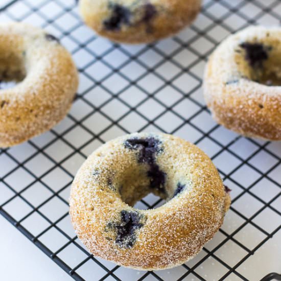 Baked Buttermilk Blueberry Donuts