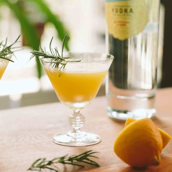 Beet, Vodka and Rosemary Cocktail
