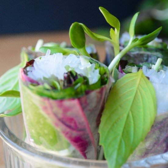 Spinach and Basil Summer Rolls