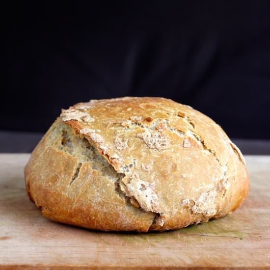 Three Ingredient Vegan Artisan Bread