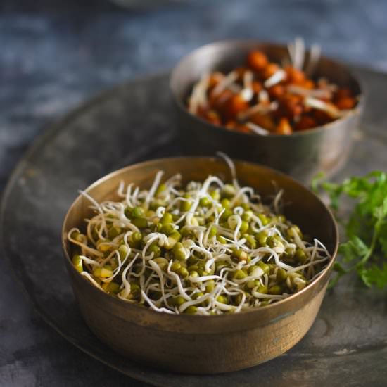 Homemade Sprouts Recipe