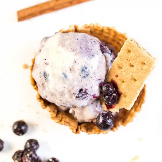 No Churn Blueberry Ice Cream