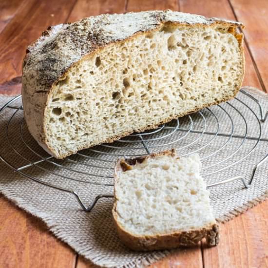 Double-Fed Sweet Levain Bread