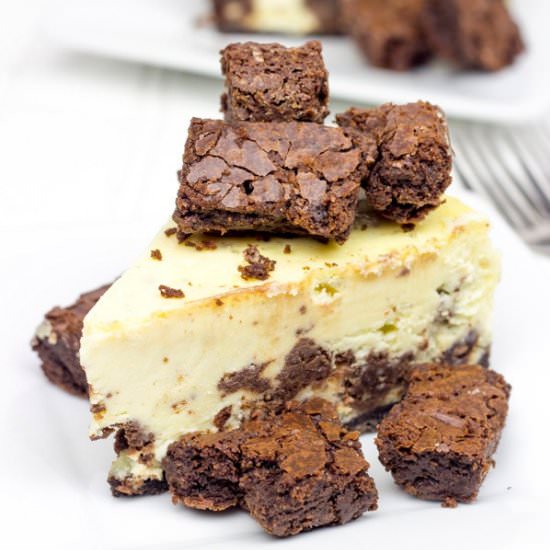 Brownie Bite Cheesecake