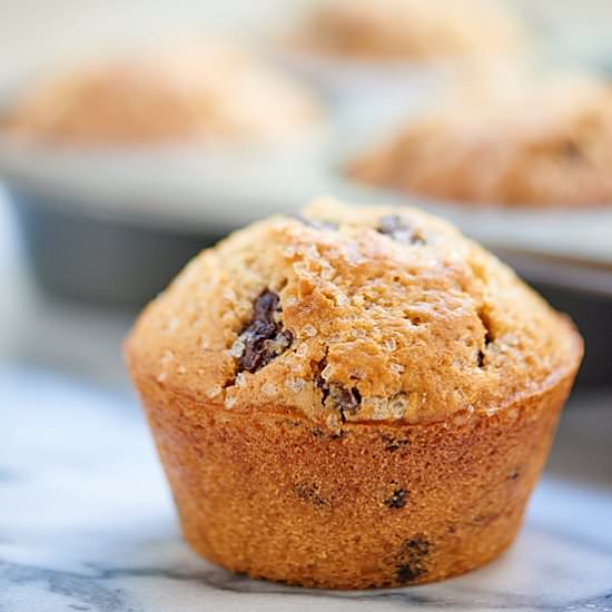 Chocolate Chip Muffins