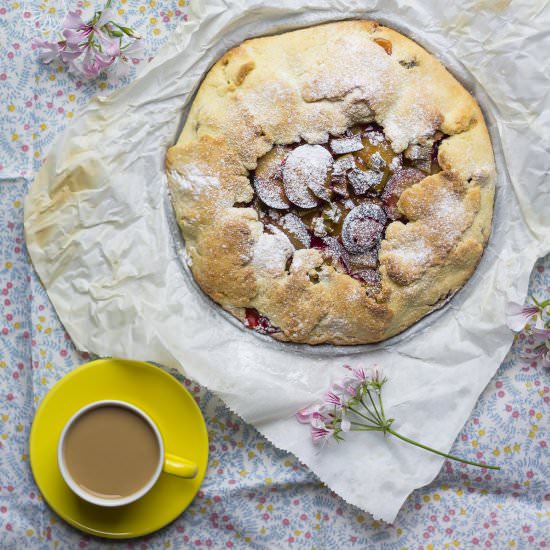 Galette with Plums and Rhubarb