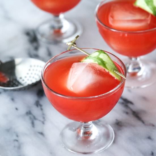 Watermelon Negronis