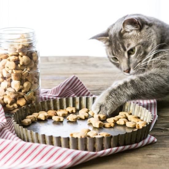 Salmon Cat Treats