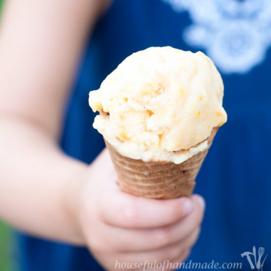 Super Simple Peach Frozen Yogurt