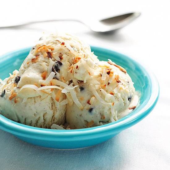 Coconut Chocolate Chip Ice Cream