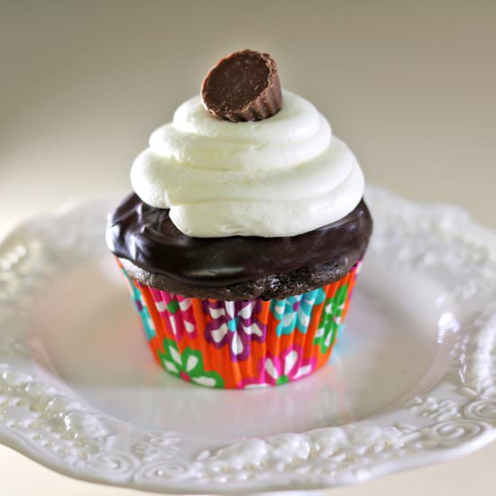 Chocolate Cupcakes