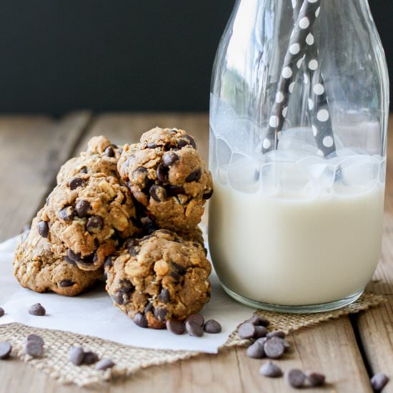 Oatmeal Chocolate Chip Cookie Balls