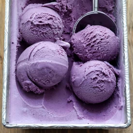 Blueberry Ice Cream