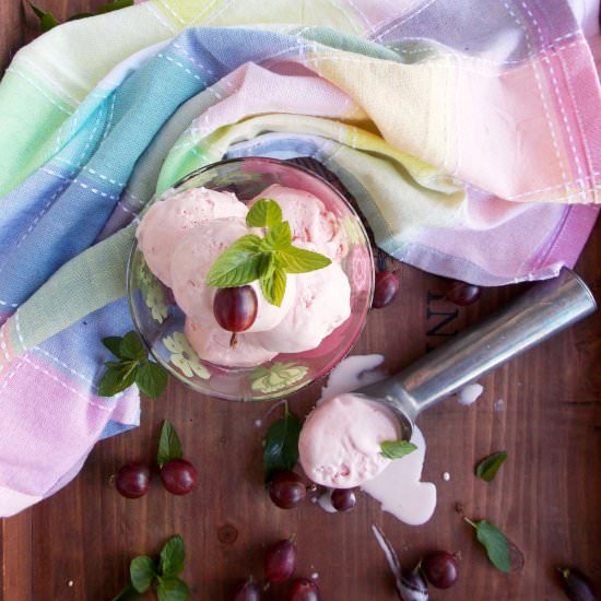 Gooseberry Mint Ice Cream