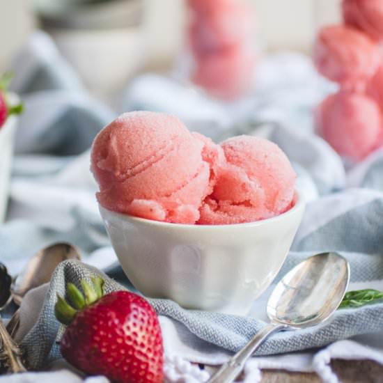 Strawberry Rose Sorbet