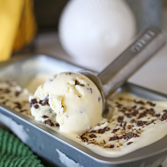 Mint Chocolate Chip Ice Cream