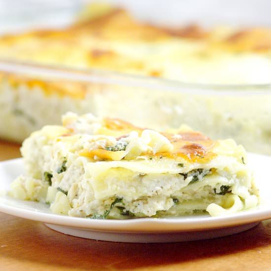 Chicken Alfredo Lasagna