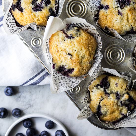Blueberry Muffins