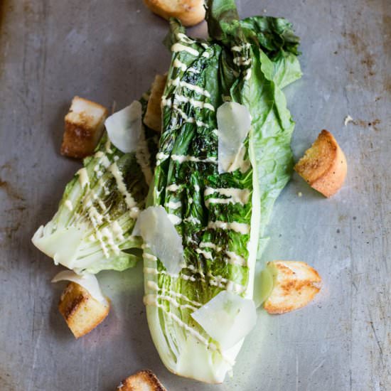 Grilled Caesar Salad