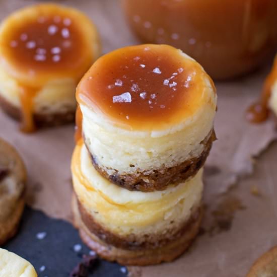 Mini Salted Caramel Cheesecakes