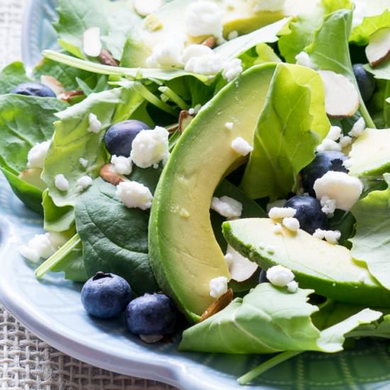 Superfood Avocado Blueberry Salad