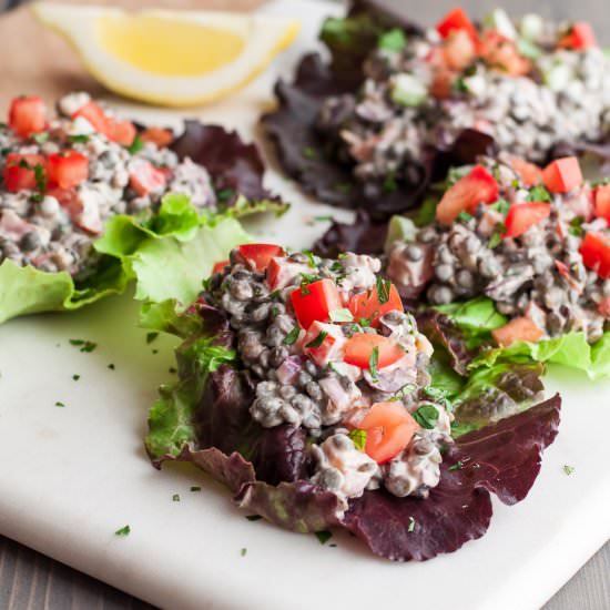 Hummus Lentil Salad Wraps