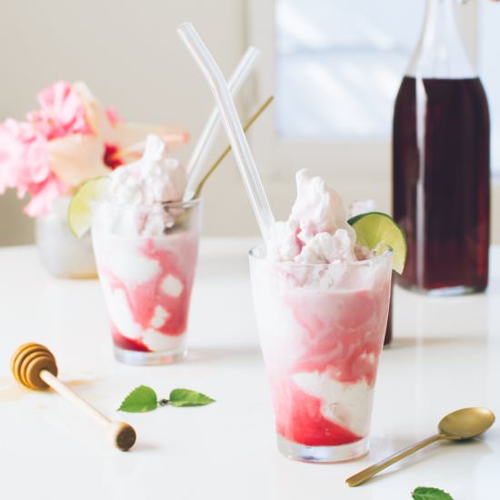 Coconut, Hibiscus & Lime Slushies