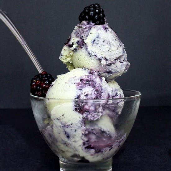 Vegan Blueberry Vanilla Ice Cream
