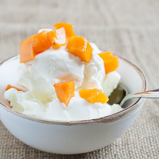 Greek Yogurt Ice Cream