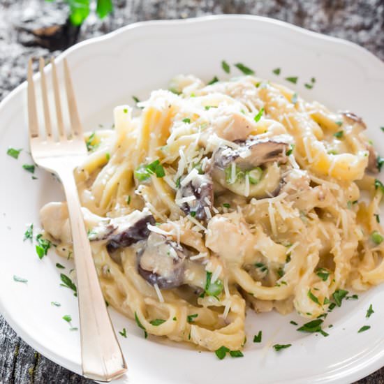 Chicken and Mushroom Tetrazzini