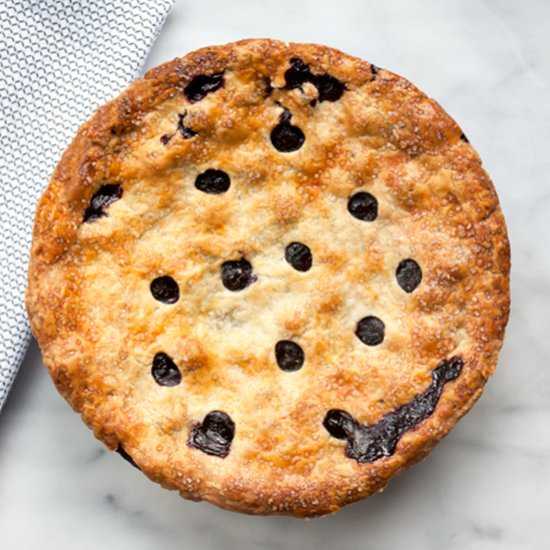 Blueberry Lemon Pie