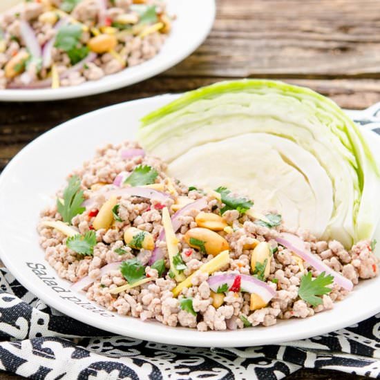 Nam Sod – Thai Pork Salad