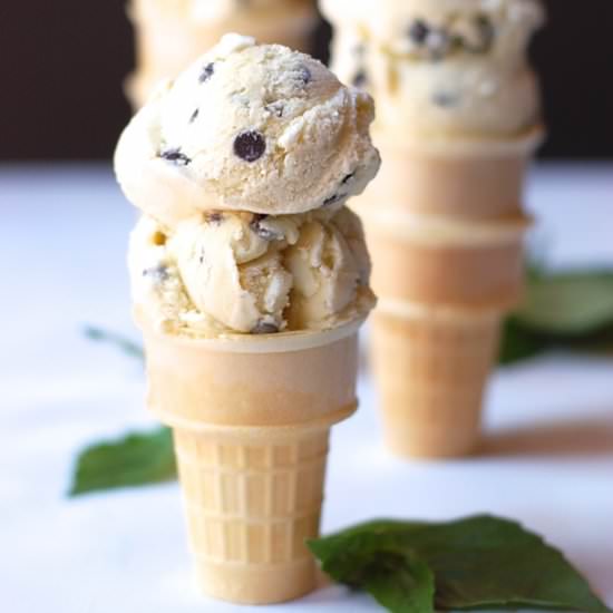 Basil Mint Chocolate Chip Ice Cream