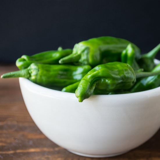 Grilled Shishito Peppers