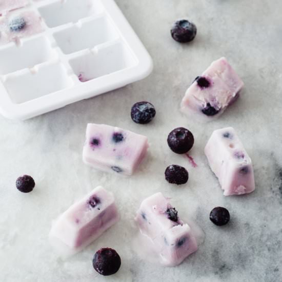 Blueberry yoghurt bites