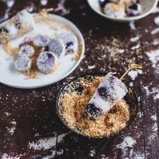 Coconut Blueberry Chia Kulfi