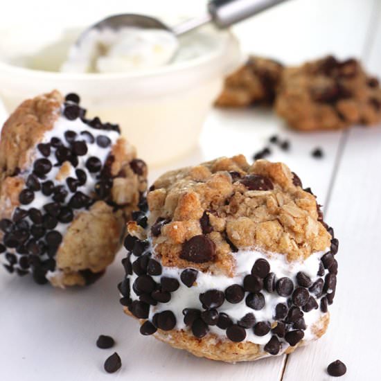 Fully-Loaded Oatmeal Chipwich