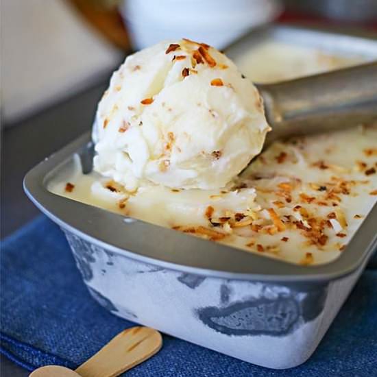 Toasted Coconut Frozen Yogurt